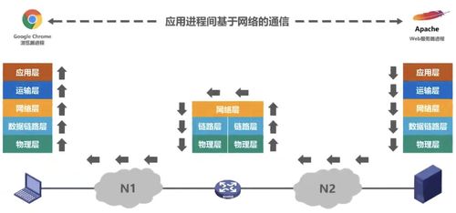 計(jì)算機(jī)網(wǎng)絡(luò)概述 技術(shù)開(kāi)發(fā)與應(yīng)用